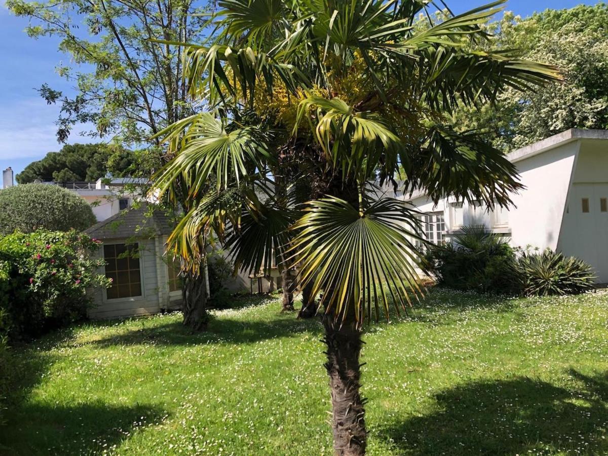 Appartement Louise A 500 M Des Plages *